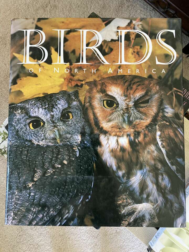 Book of North American Bird's