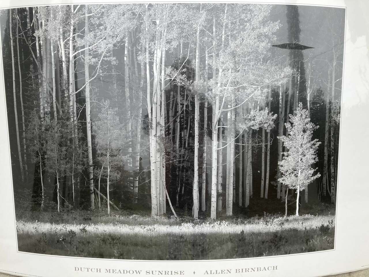 Dutch Meadow Sunrise Lithograph