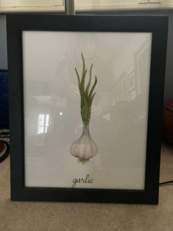 Garlic Painting