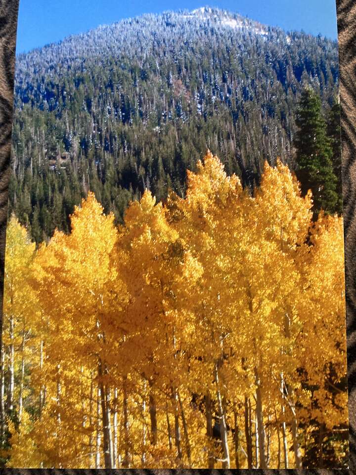 Landscape Photograph