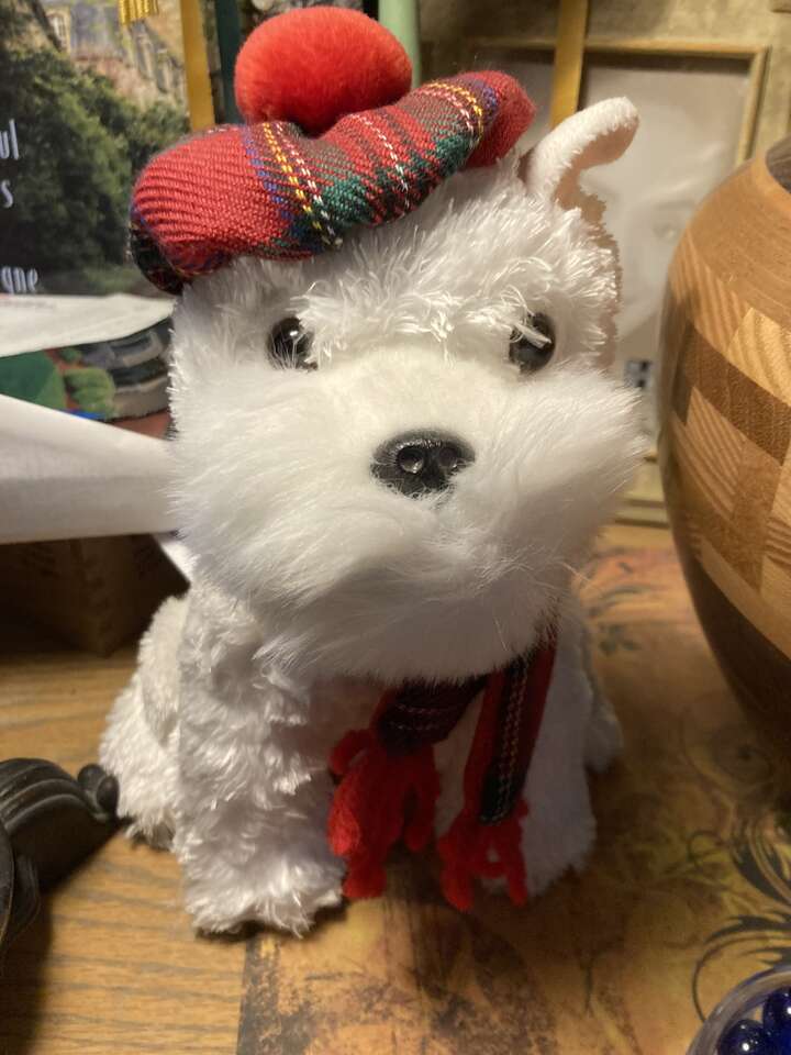 Small White Stuffed Dog