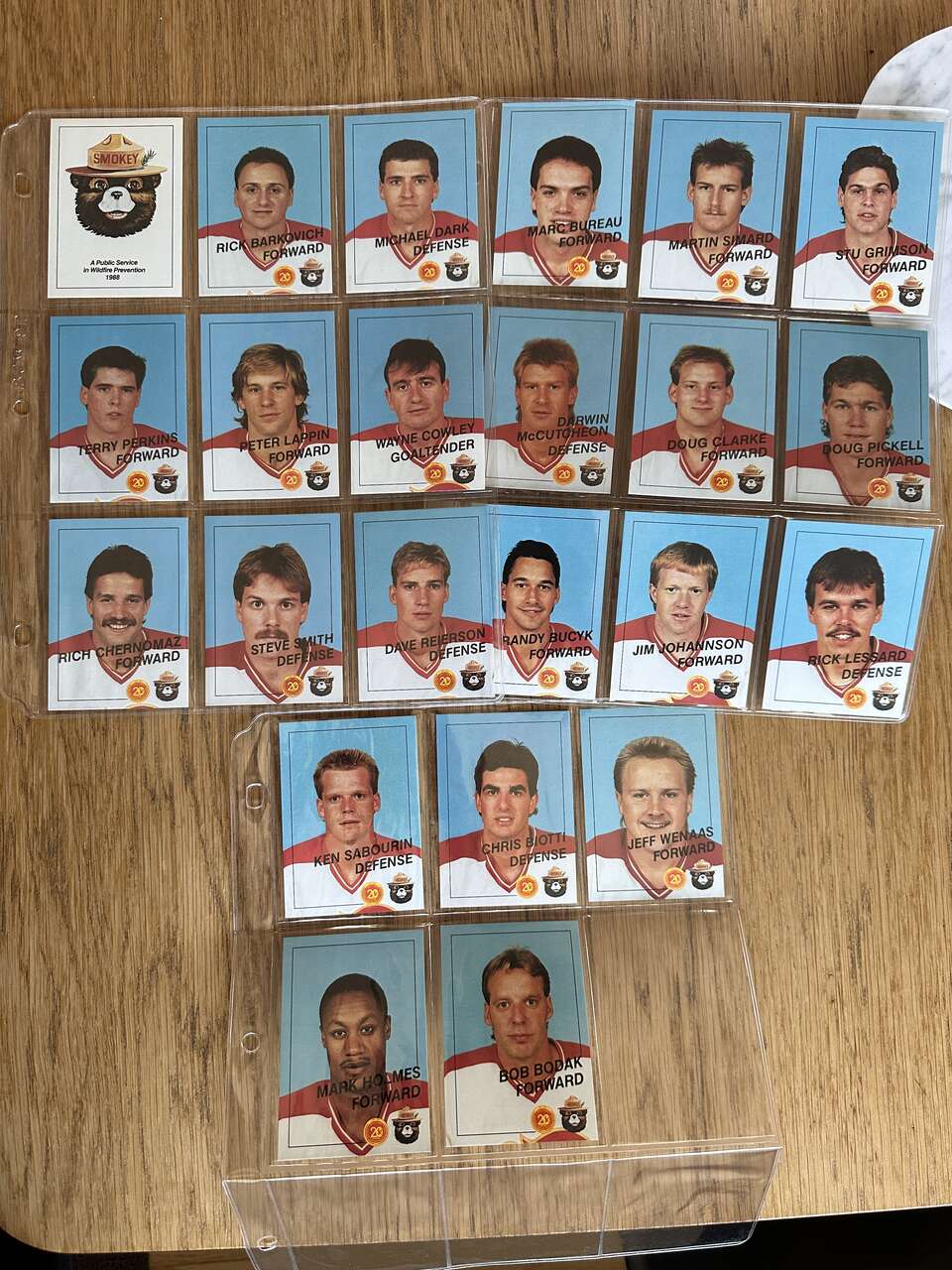 Salt Lake City Golden Eagles Hockey cards.