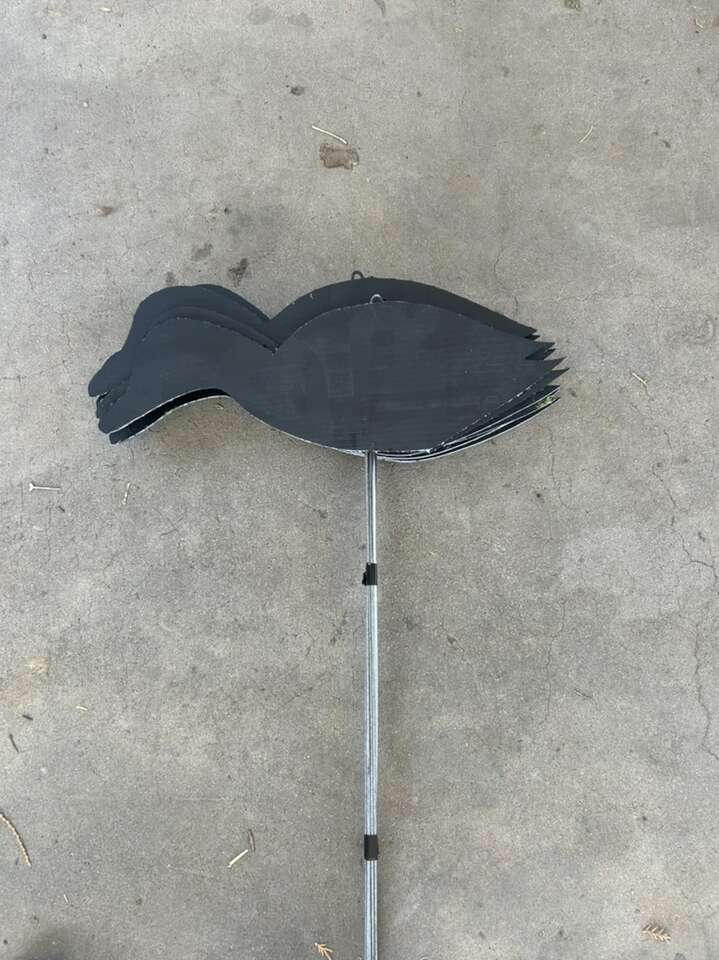 Black Duck Silhouttes