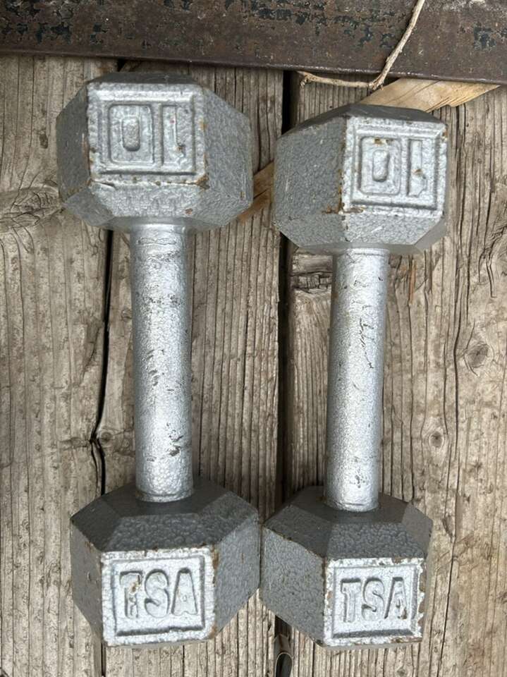 Two 10 Lbs Weights Fitness Equipment