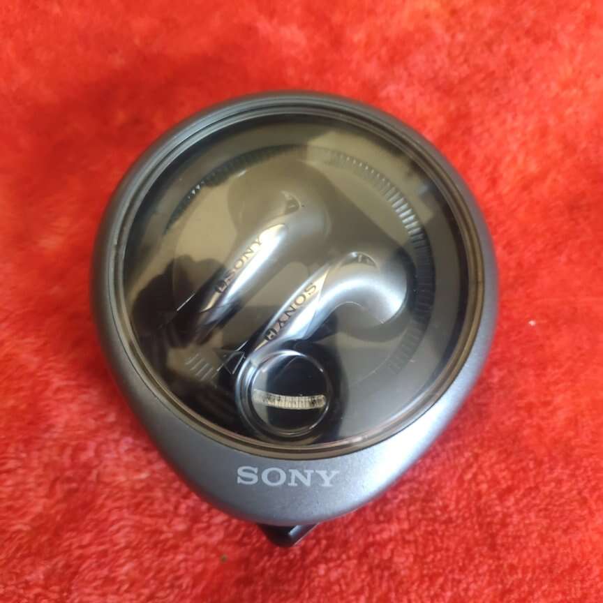 Sony earbuds and case