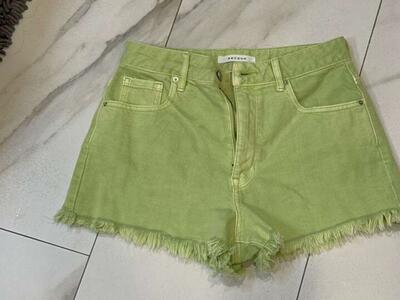 Pacsun Size 26 High-Rise Festival Shorts
