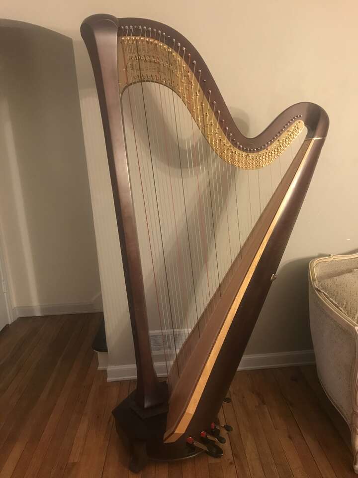 Concert Grand Pedal Harp for Rent