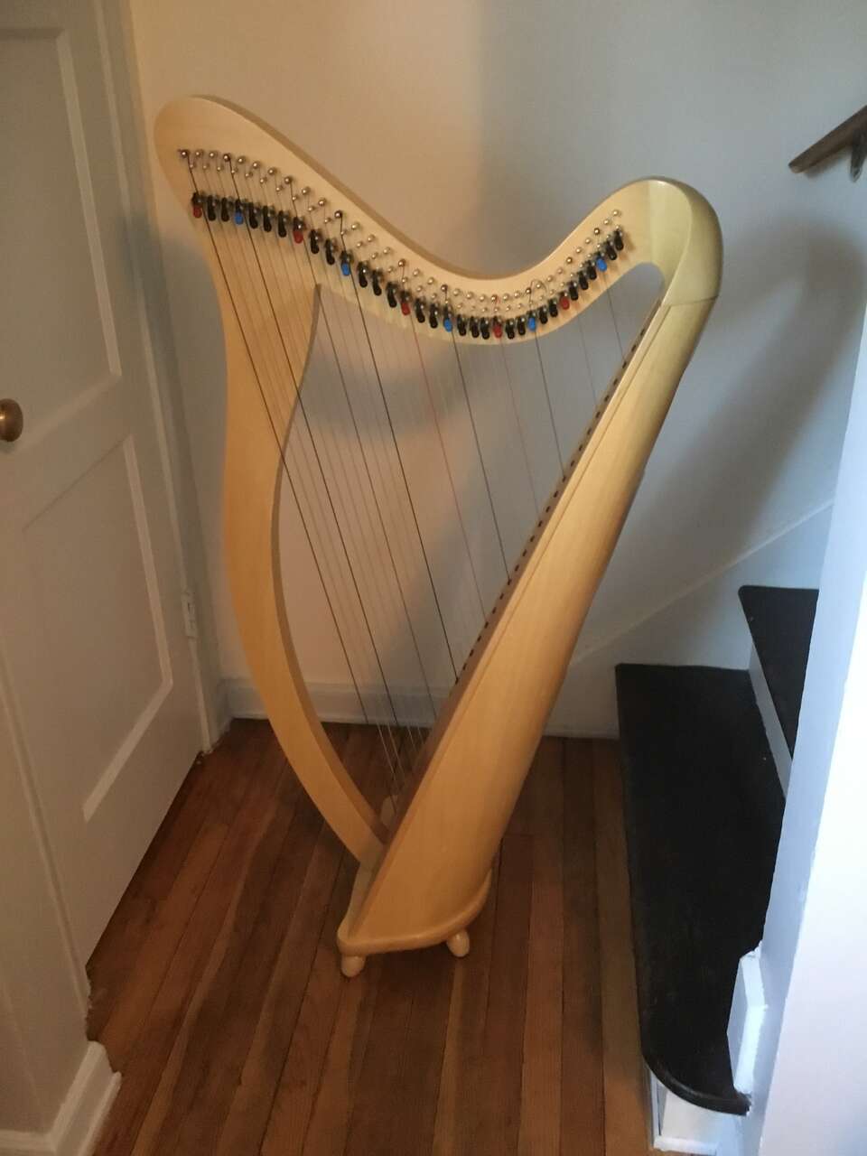 Lever Harp for Rent