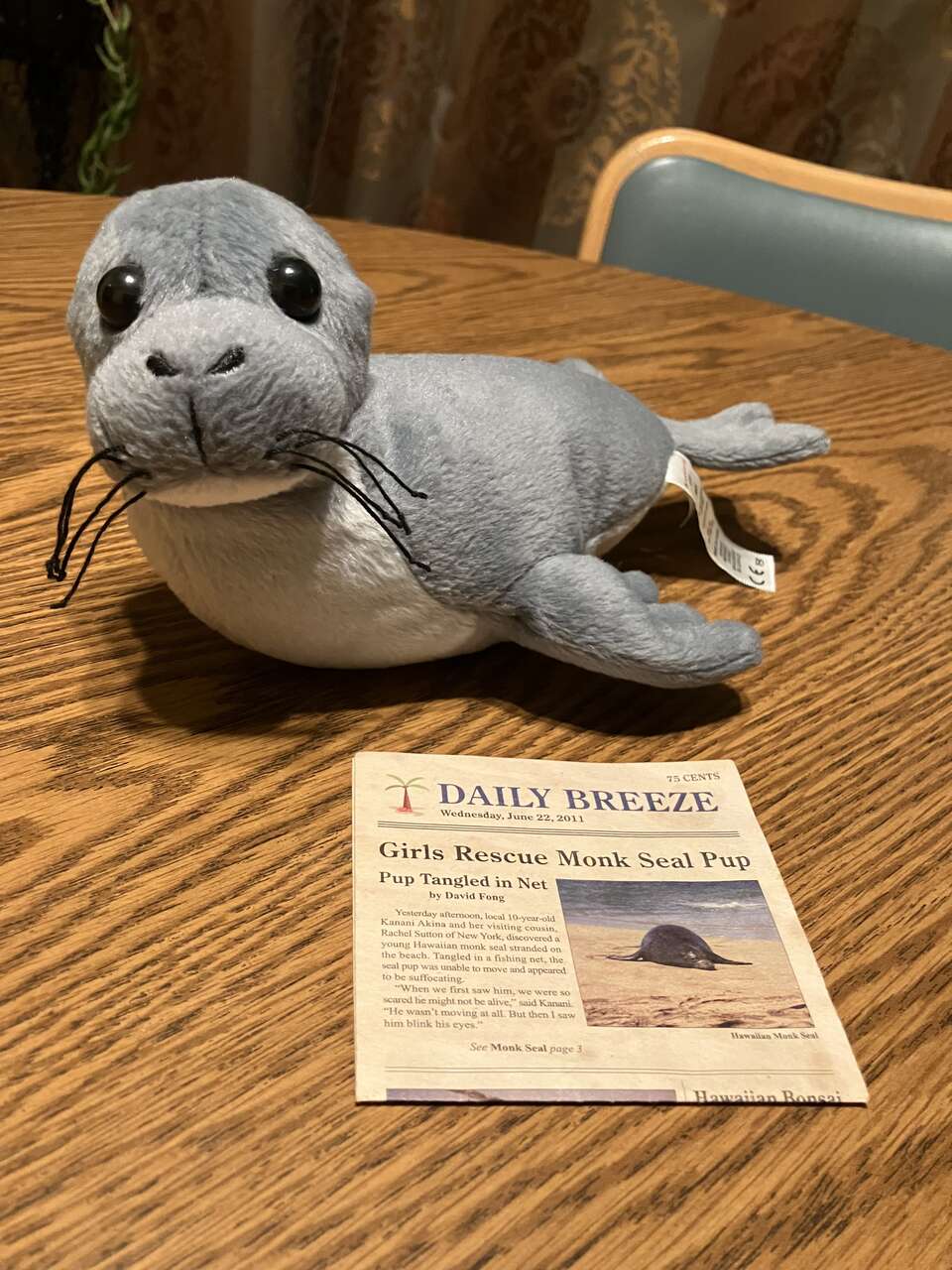 Kanani monk seal and newspaper, retired American Girl doll