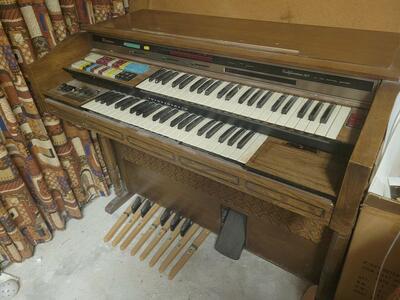 Thomas Color Glow Calfornian 263