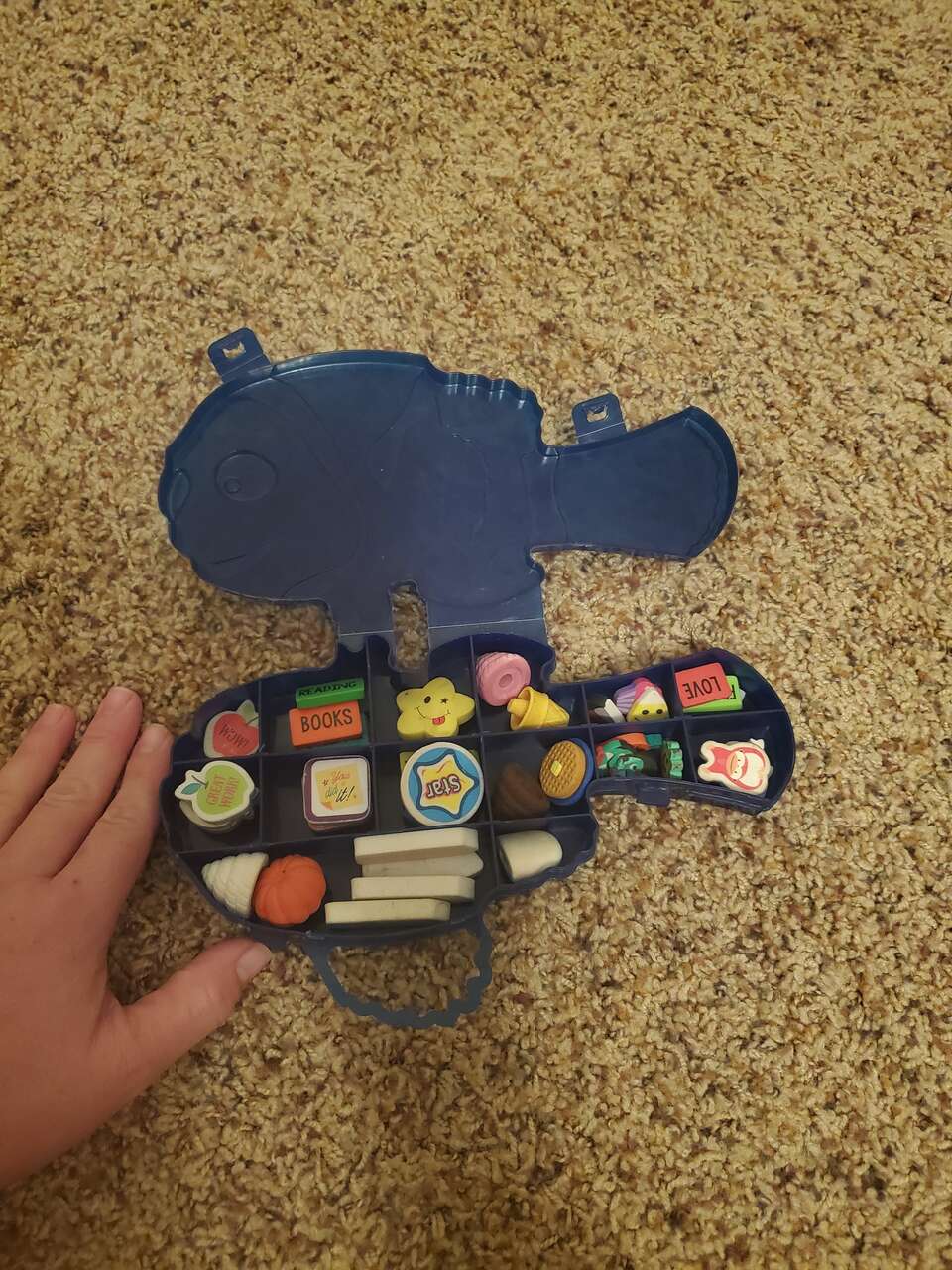 Case with erasers for school