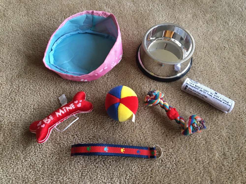 Build-a-Bear Workshop Pet Set