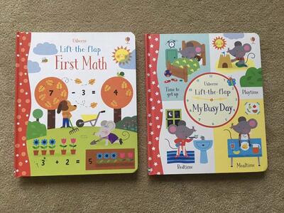 Two Usborne Lift-the-Flap Books