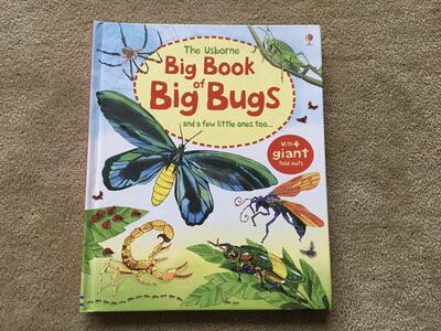 The Usborne Big Book of Big Bugs