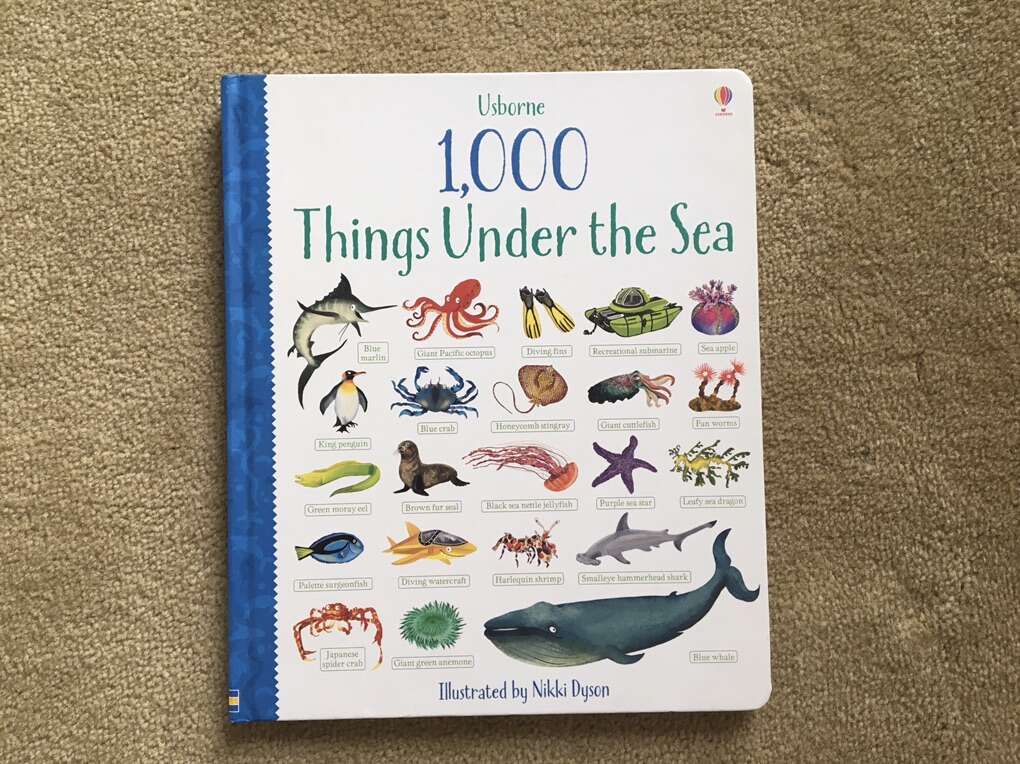 Usborne 1000 Things Under the Sea