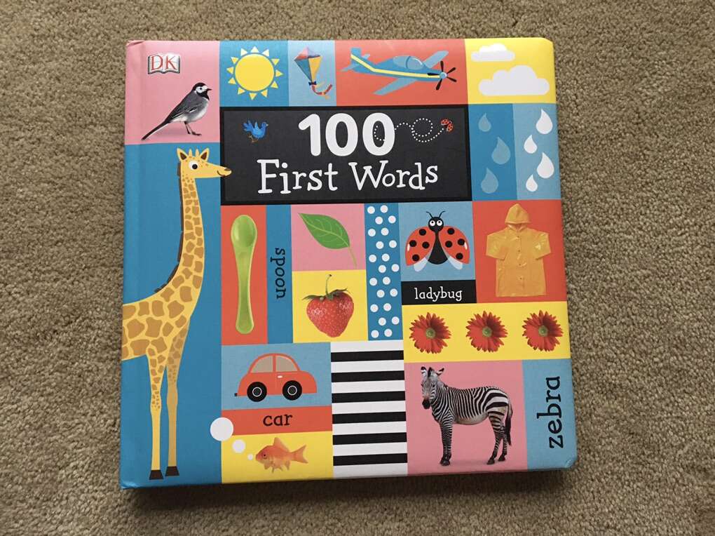 100 First Words Giant DK Board Book