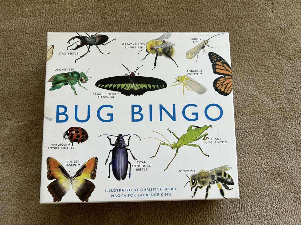 COMPLETE Bug Bingo Game