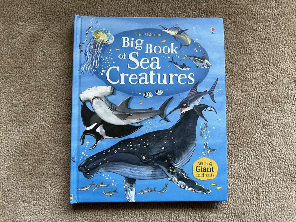 The Usborne Big Book of Sea Creatures