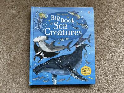 The Usborne Big Book of Sea Creatures
