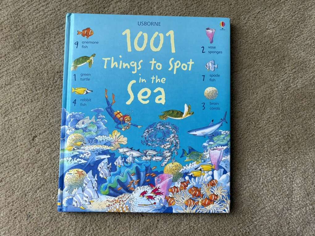 Usborne 1001 Things to Spot in the Sea