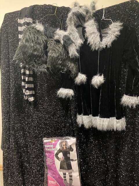 SWEET RACOON Costume w/tights    Size Child L 10/12     $20