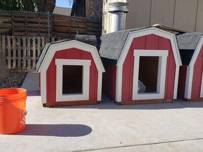 Barn style dog house
