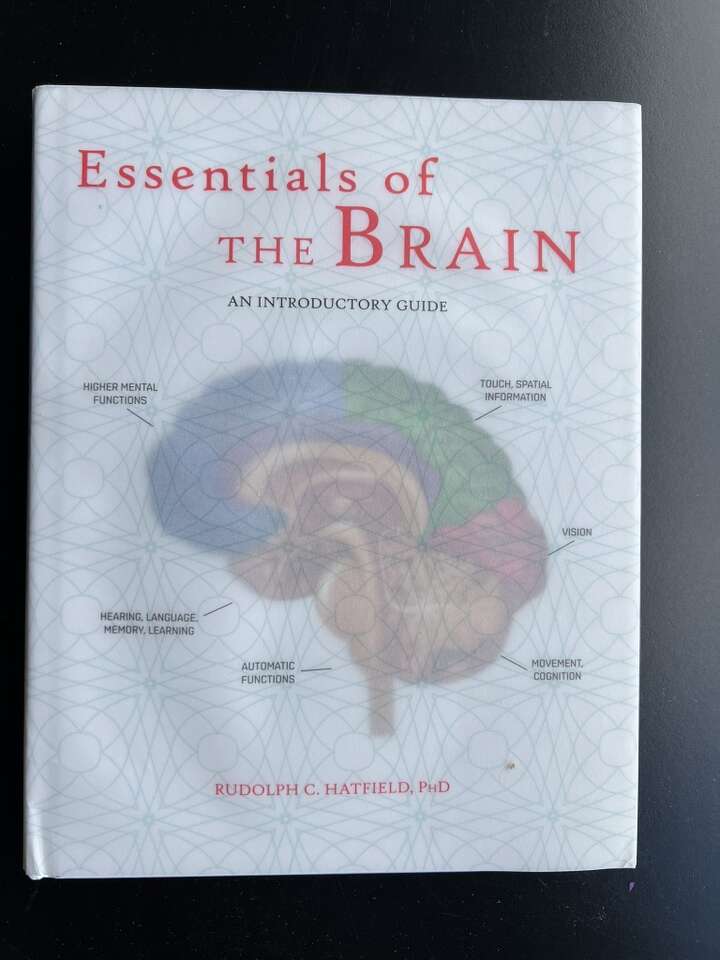 Essentials Of The Brain Book