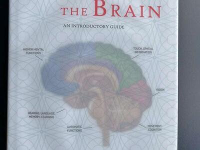 Essentials Of The Brain Book