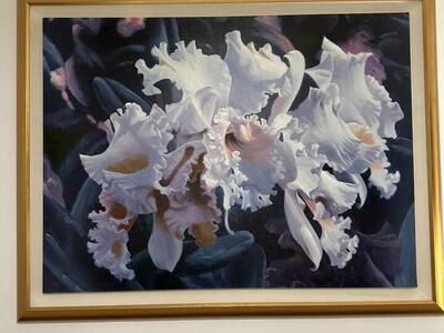 Michael Gerry- Orchid Rhapsody