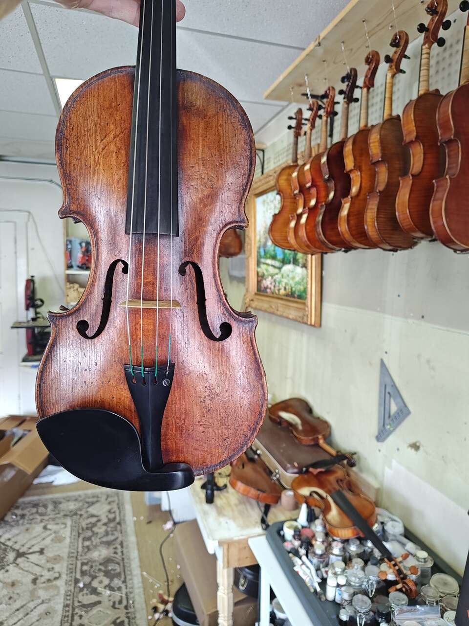 Fine French 4/4 Violin, Francois Caussin