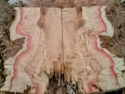 Highly figure Flame wood/Burl slab