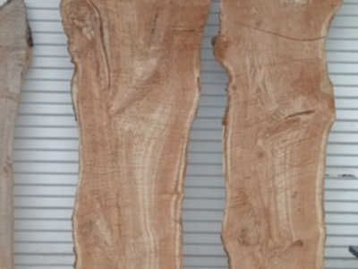 live edge honey locust Wood Slabs $389 each