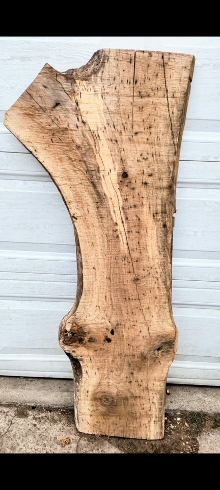 English Walnut Live edge slab