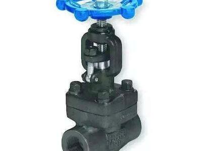 Sharpe Valves 4371006410 Globe Valve,Class 800,1-1/2 In.,Fnpt
