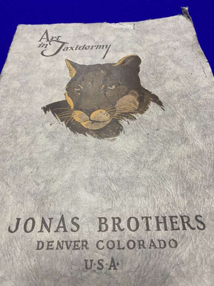 Art Of Taxidermy Jonas Bro 1923