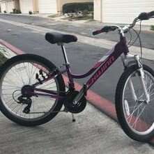 Schwinn breaker best sale