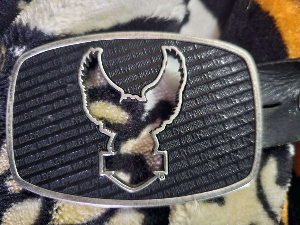 Harley Davidson belt with buckle
