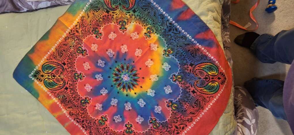 Never Used Retro Bandanas