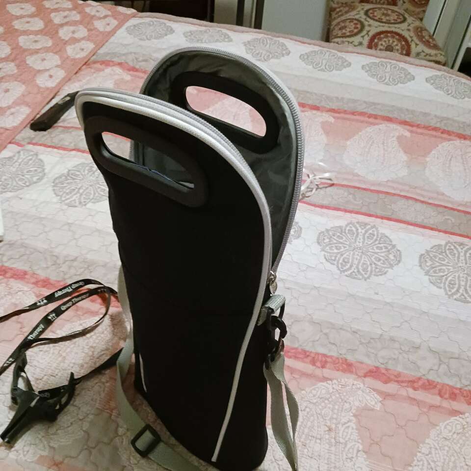 Insulated wine carrier