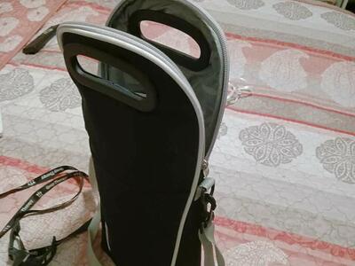 Insulated wine carrier