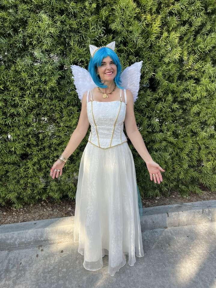 Hercules Pegasus Costume S