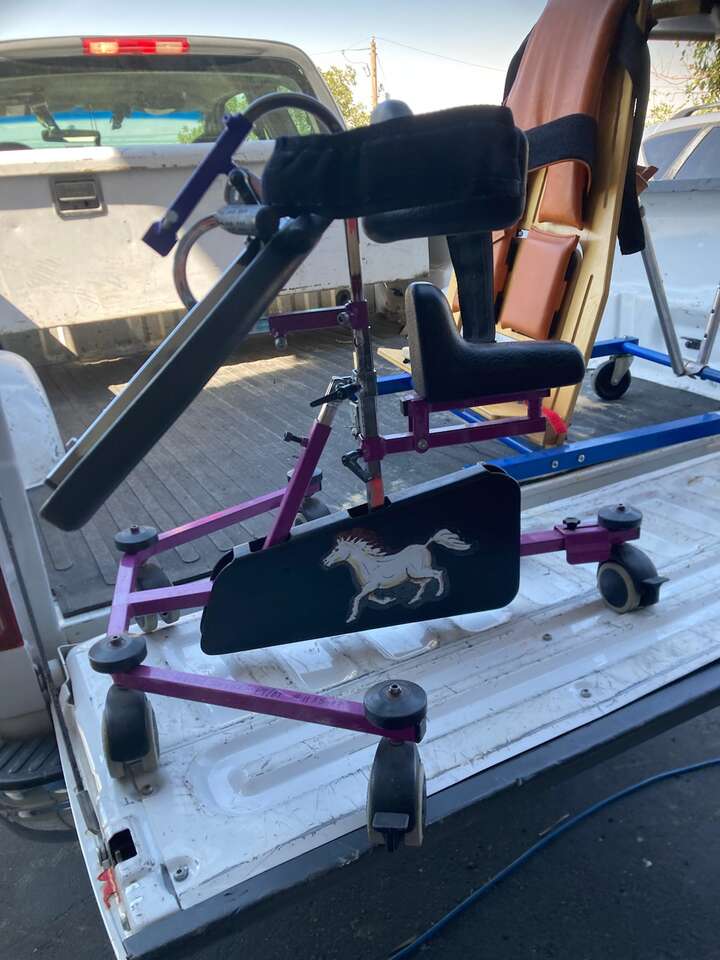 Pony Gait Trainer for Child's Mobility Assistance