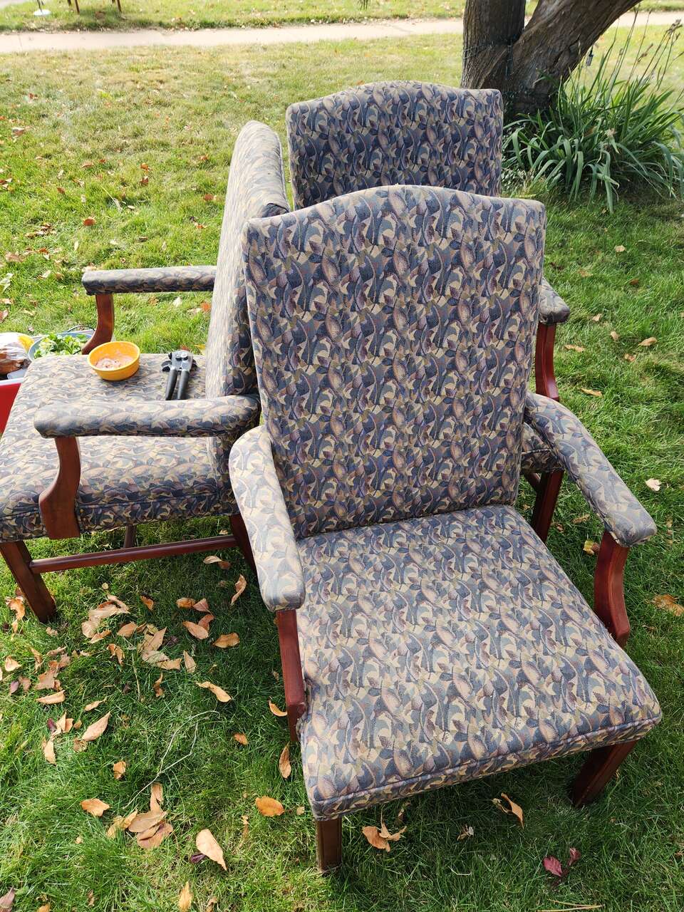 Free set of 4 chairs FREE