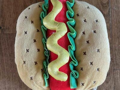 Thrills and chills hot dog dog costume size small