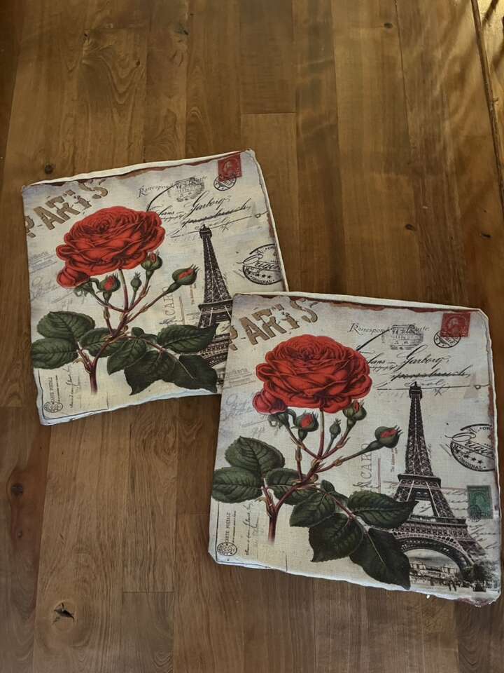 Paris Eiffel Tower Pillow Covers (2)