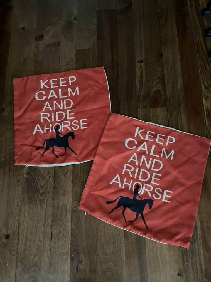Keep Calm And Ride A Horse Pillow Covers (2)