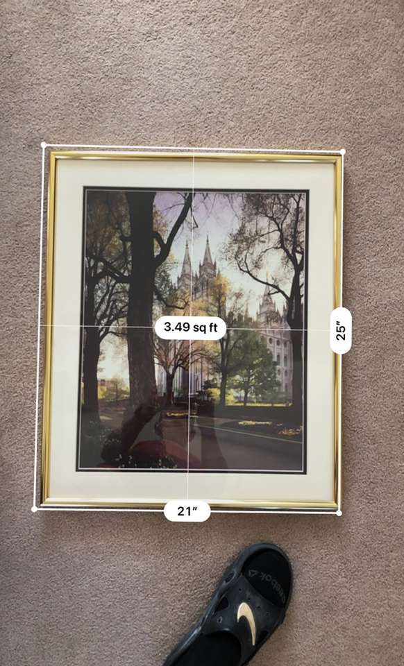 Framed Salt Lake Temple Photo/Print Rdy 2 Hang