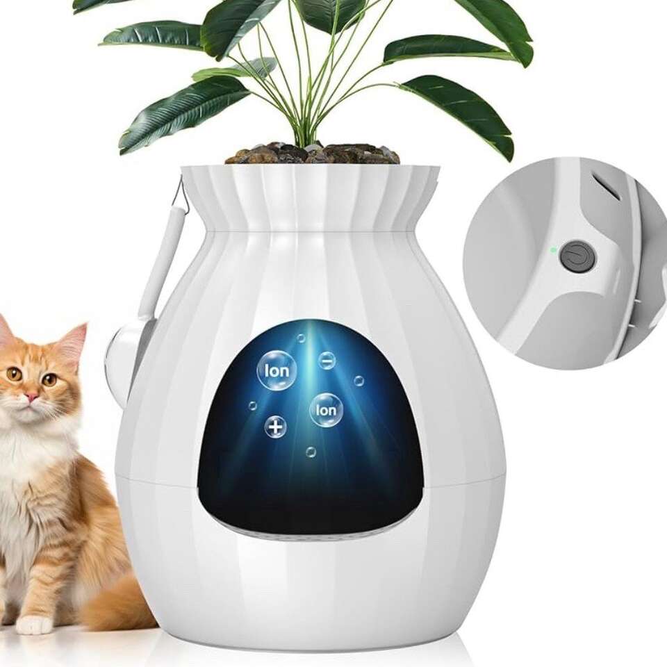 litter box and extras