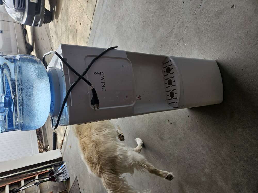 primo water dispenser with 3 5g containers