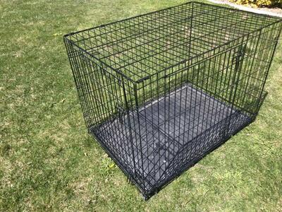 Dog Kennel